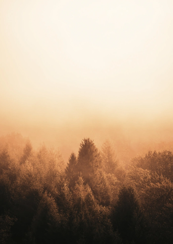 Herbst