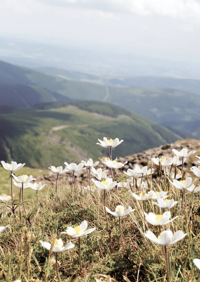 In the mountains