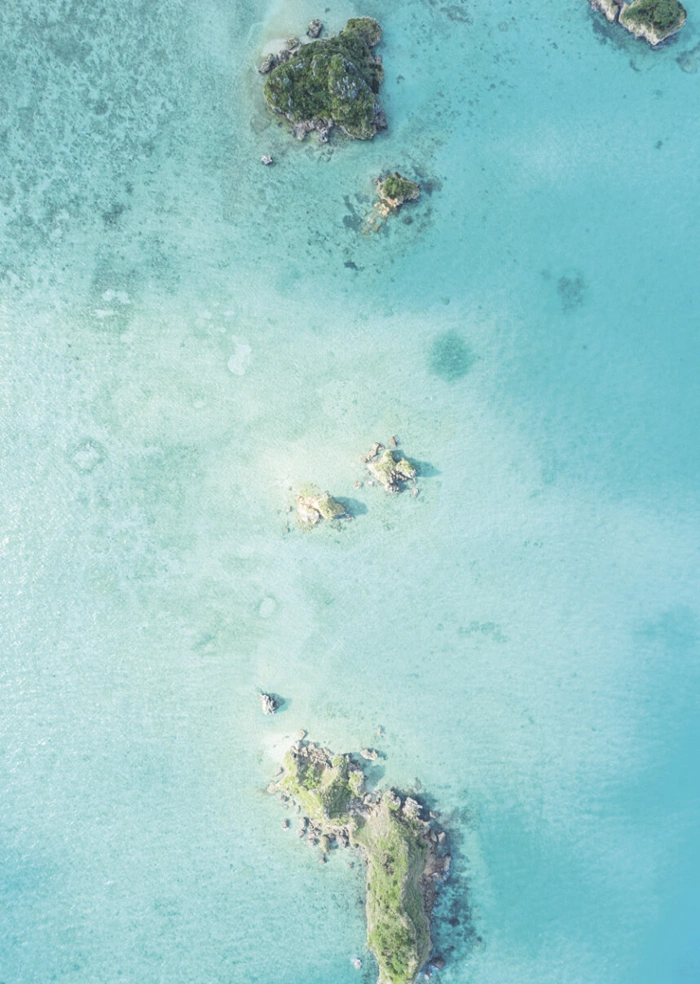 Paradies