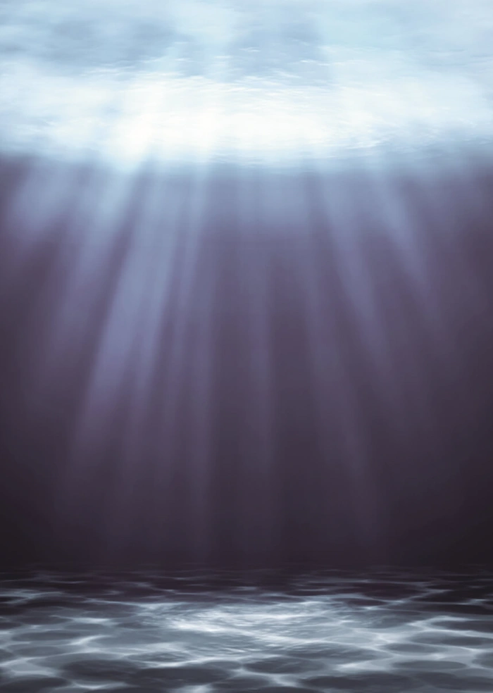 Wasser