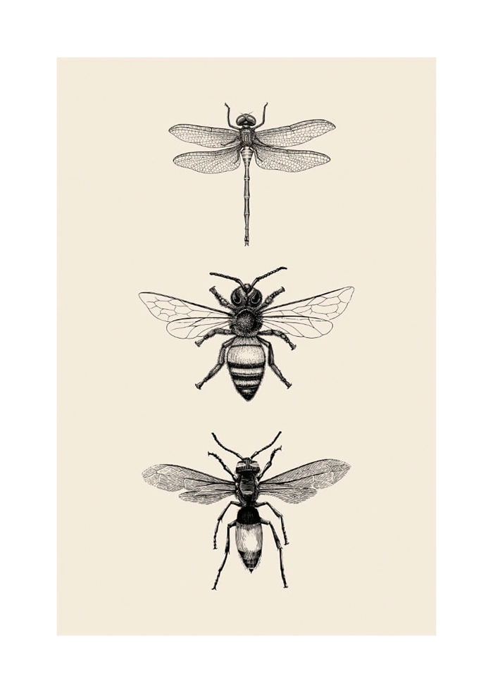 Insekten