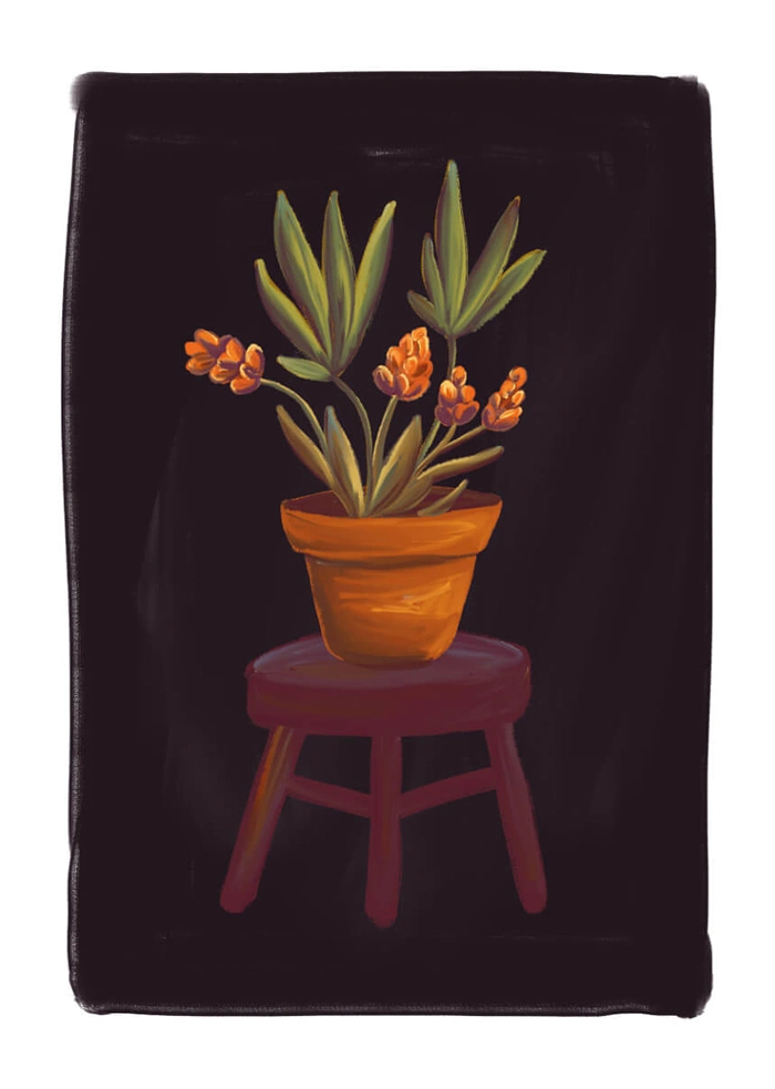 Blume