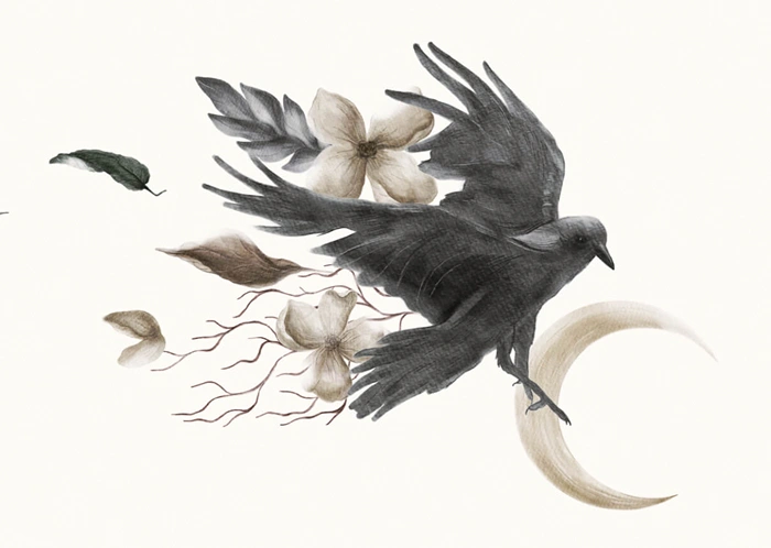 Vogel