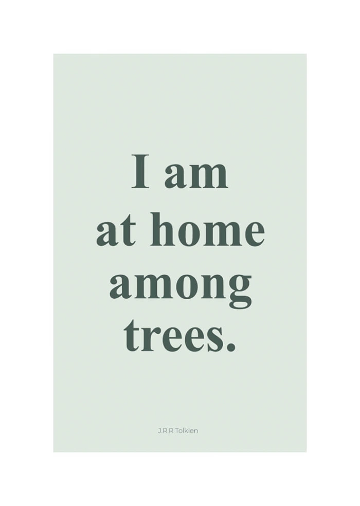 Among Trees