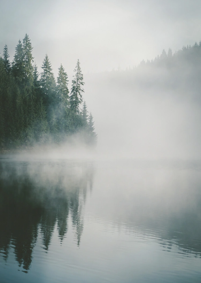 Mist