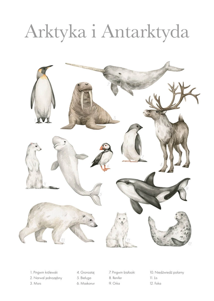 Arctic and Antarctica