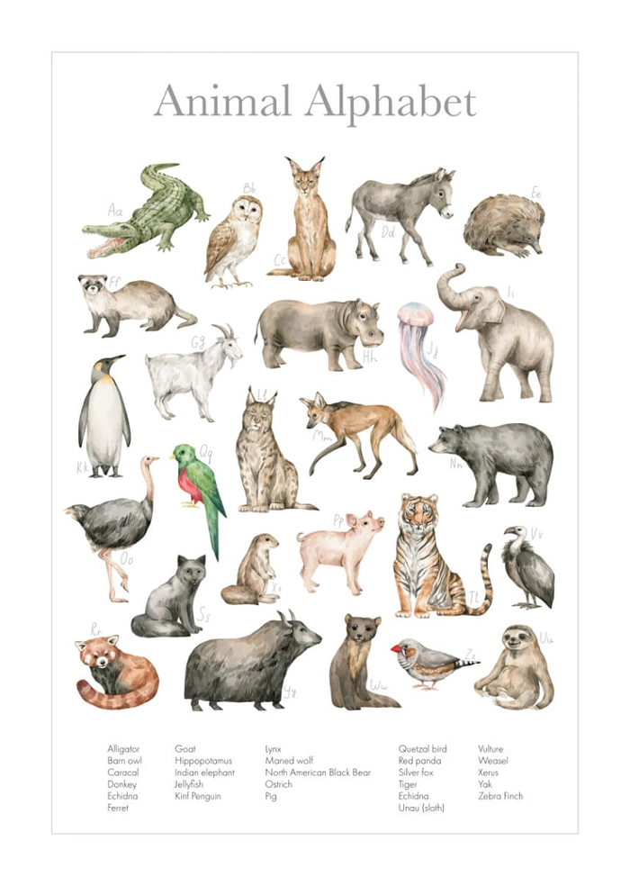 Tieralphabet