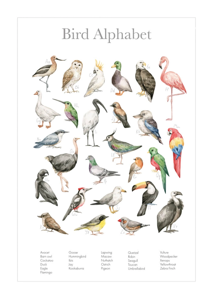 Vogelalphabet
