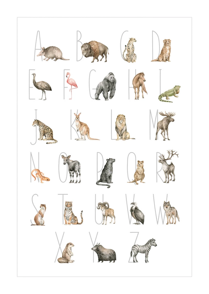 Alphabet