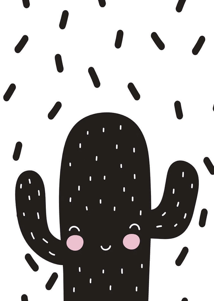 Mr Cactus