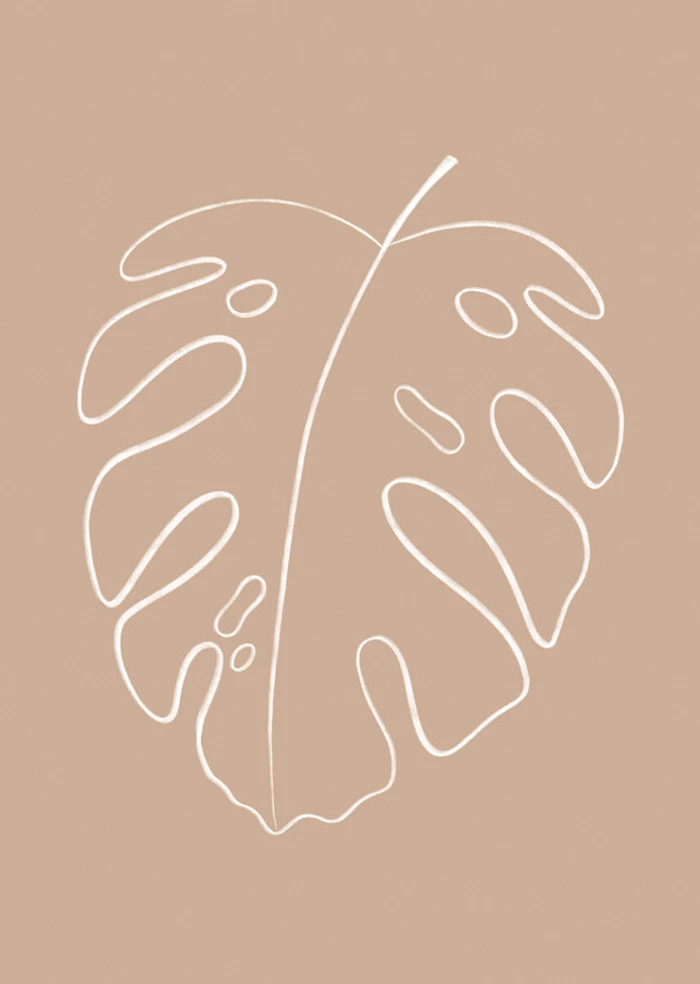 Monstera