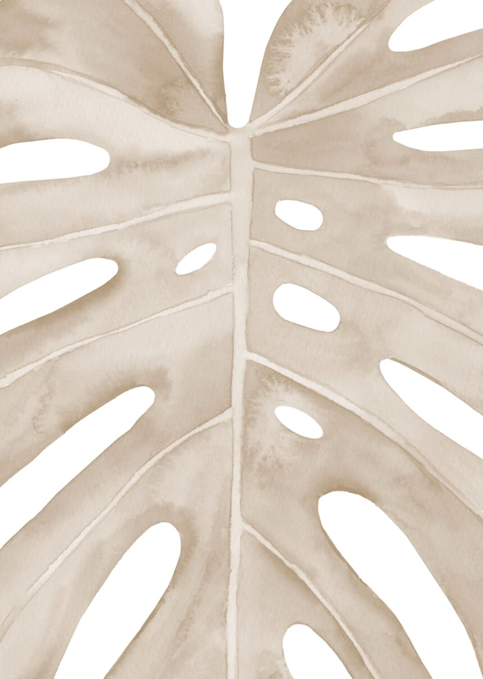 Monstera
