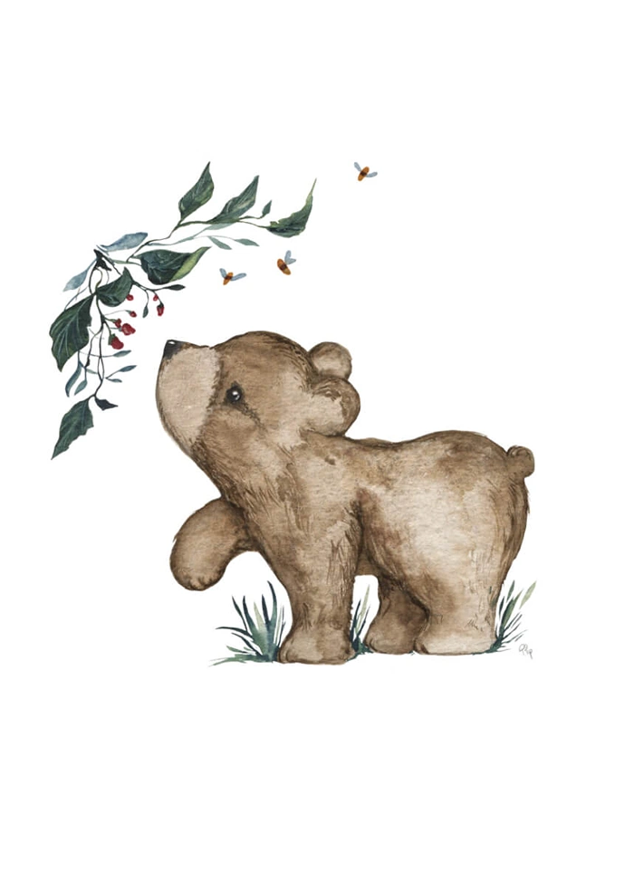 Little bear