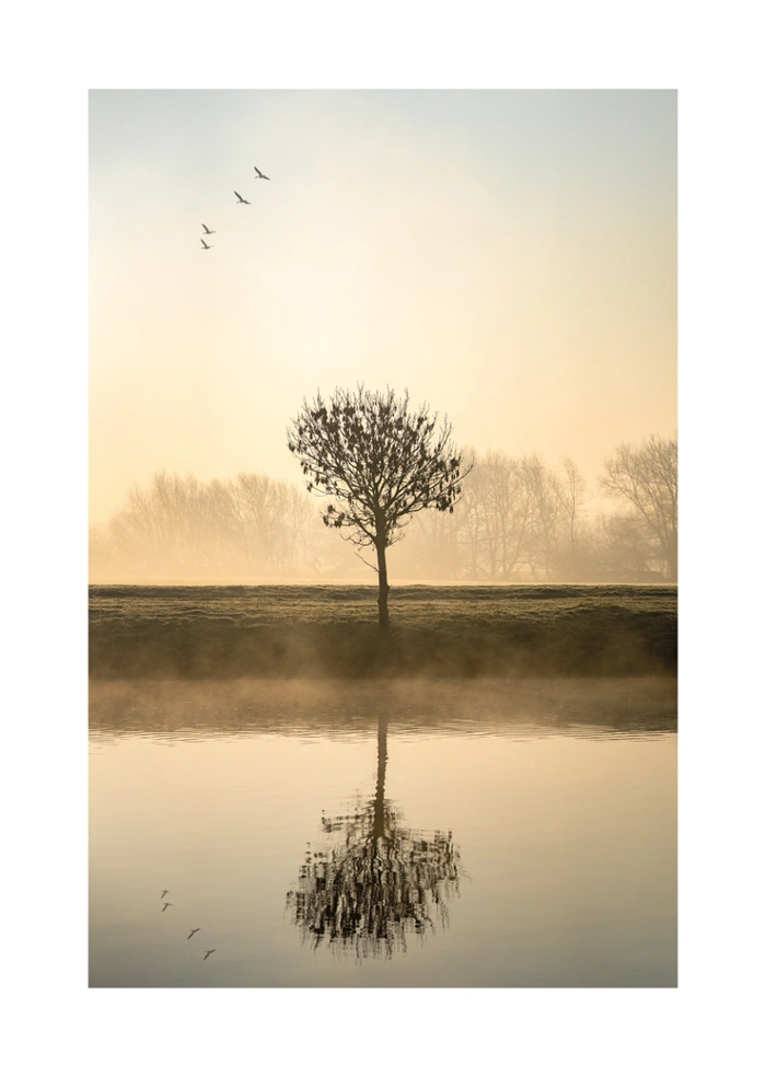 Baum