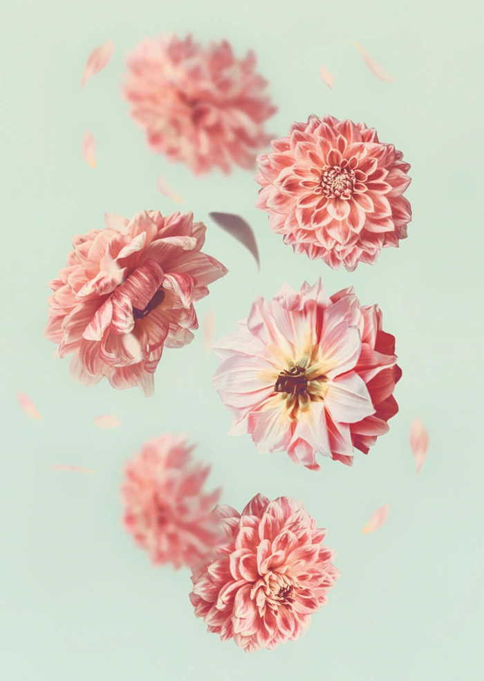 Flower power