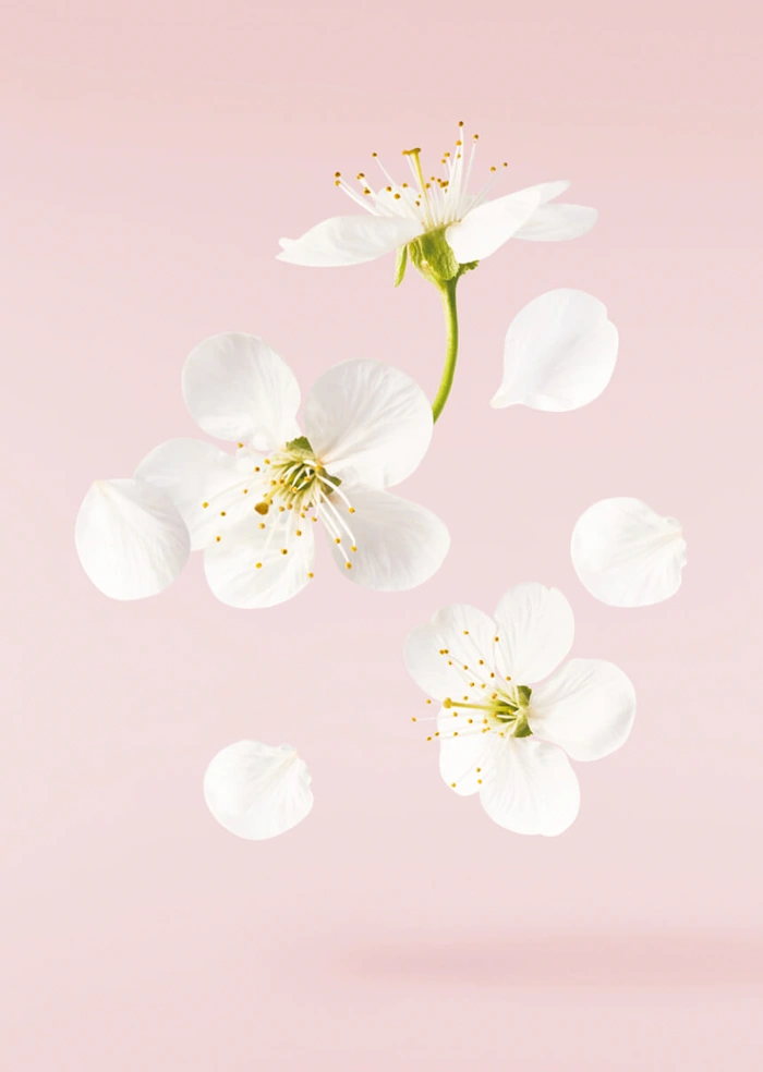 Spring-like
