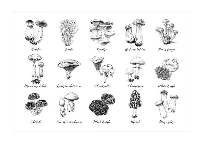 Mushrooms