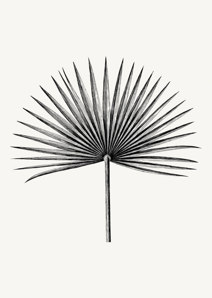 Palme