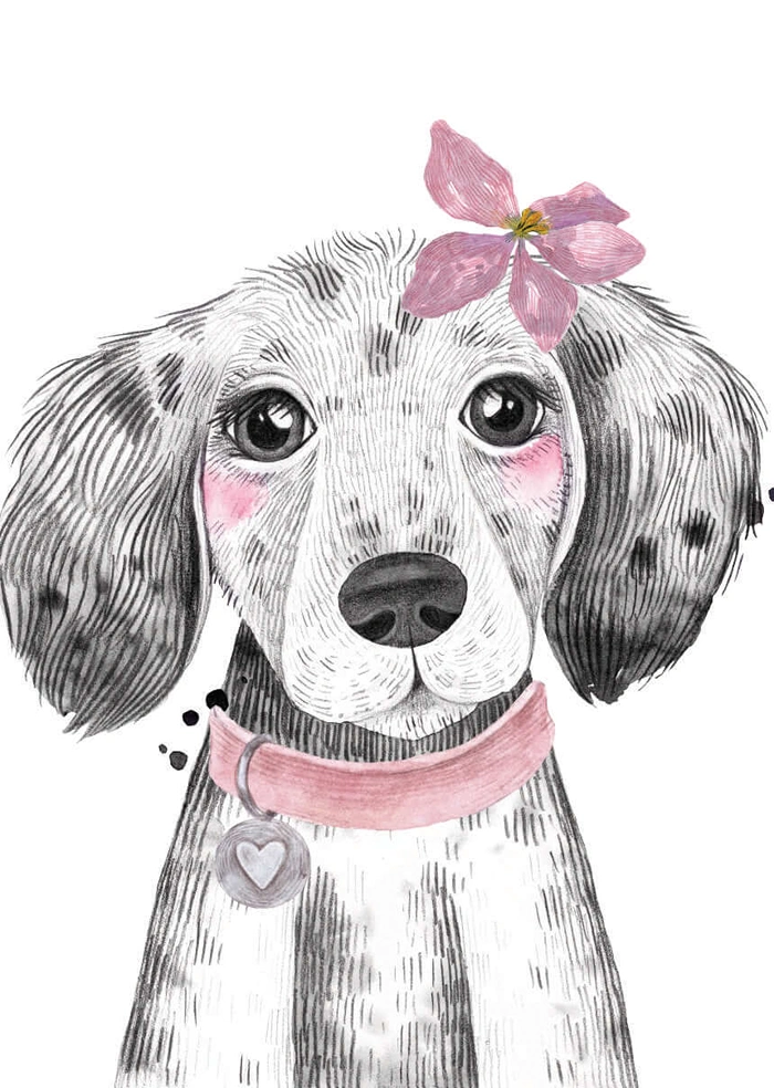Lovely dog