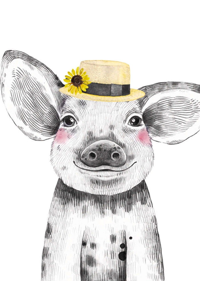Pig