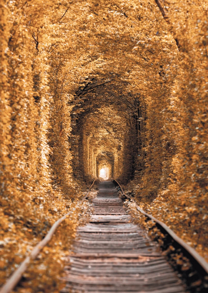 Tunnel