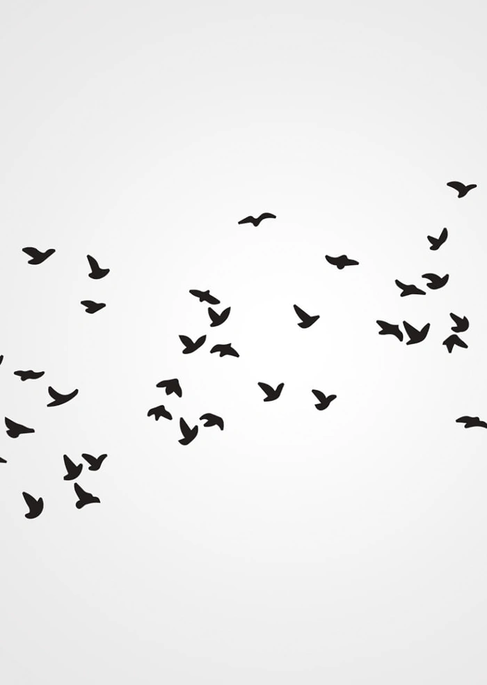 Vögel