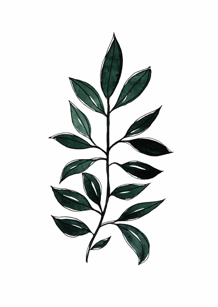 Branch