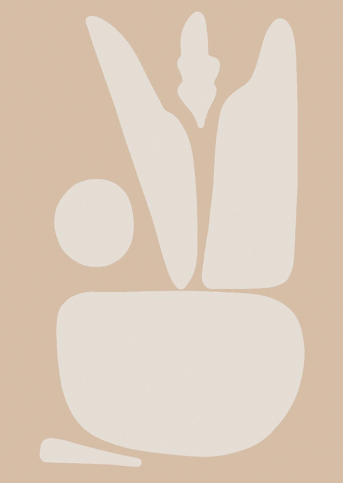 Shapes