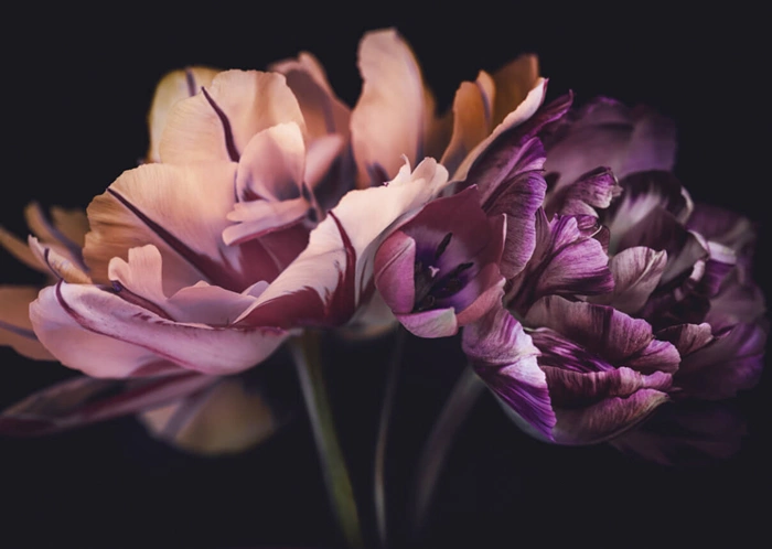 Blumen