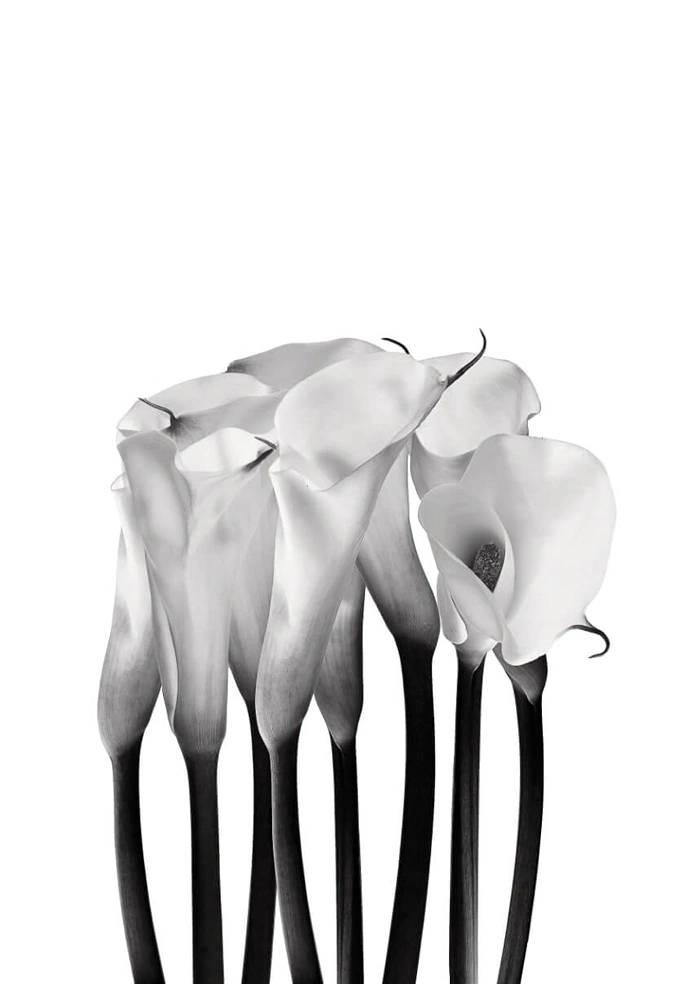 Blumen
