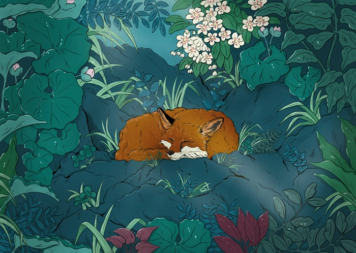 Fuchs