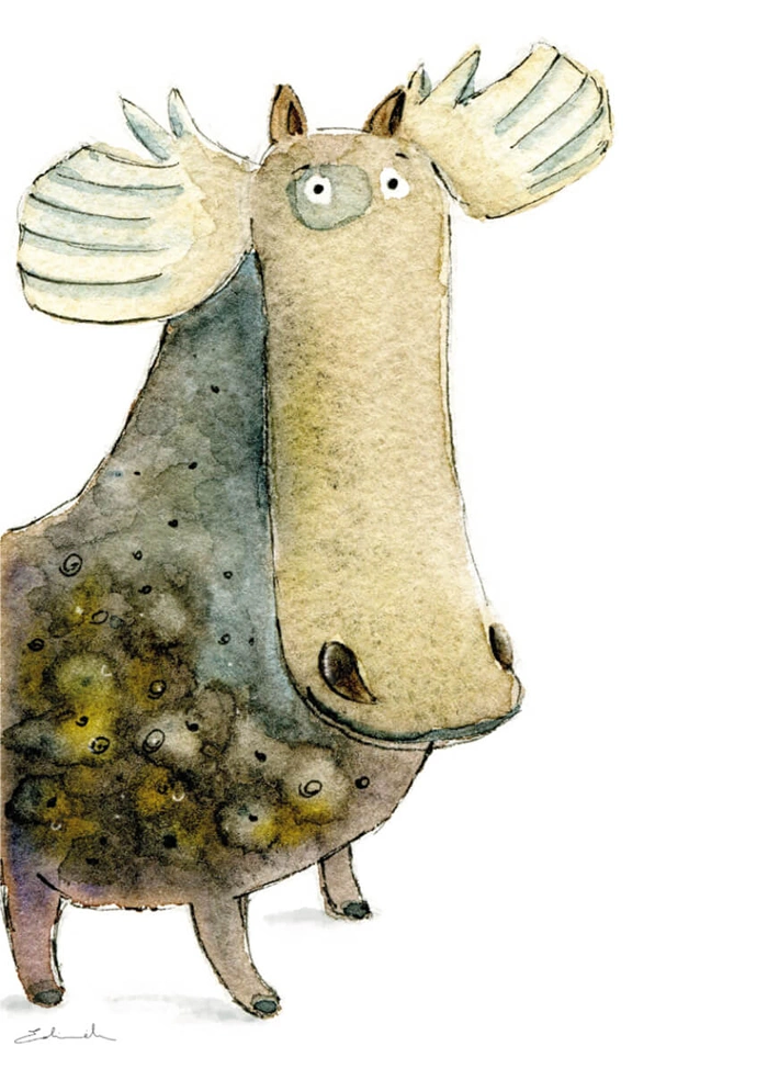 Moose