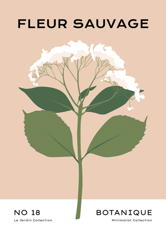 Fleur sauvage