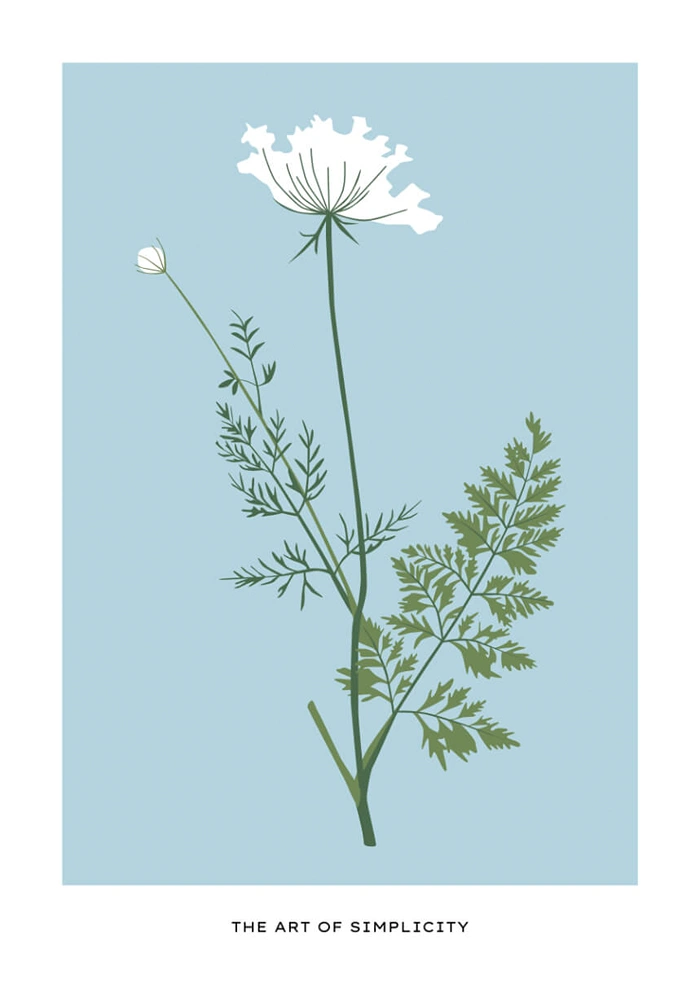 Simplicity
