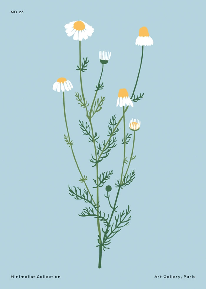 Minimalist