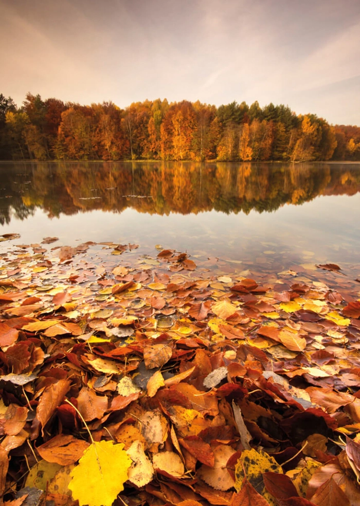 Herbst