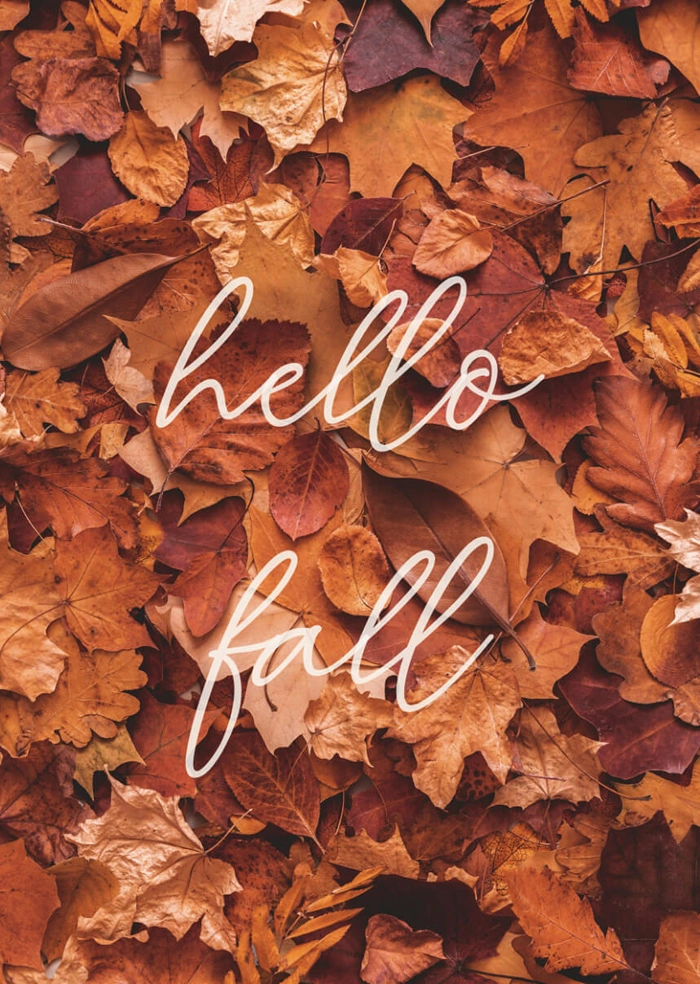 Hello fall