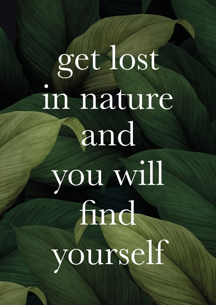 Get lost in nature