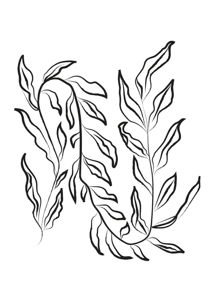 Botanical