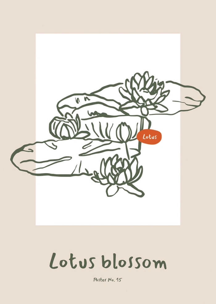 Lotus
