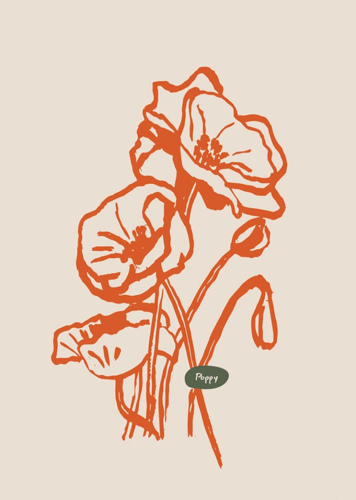 Mohnblume