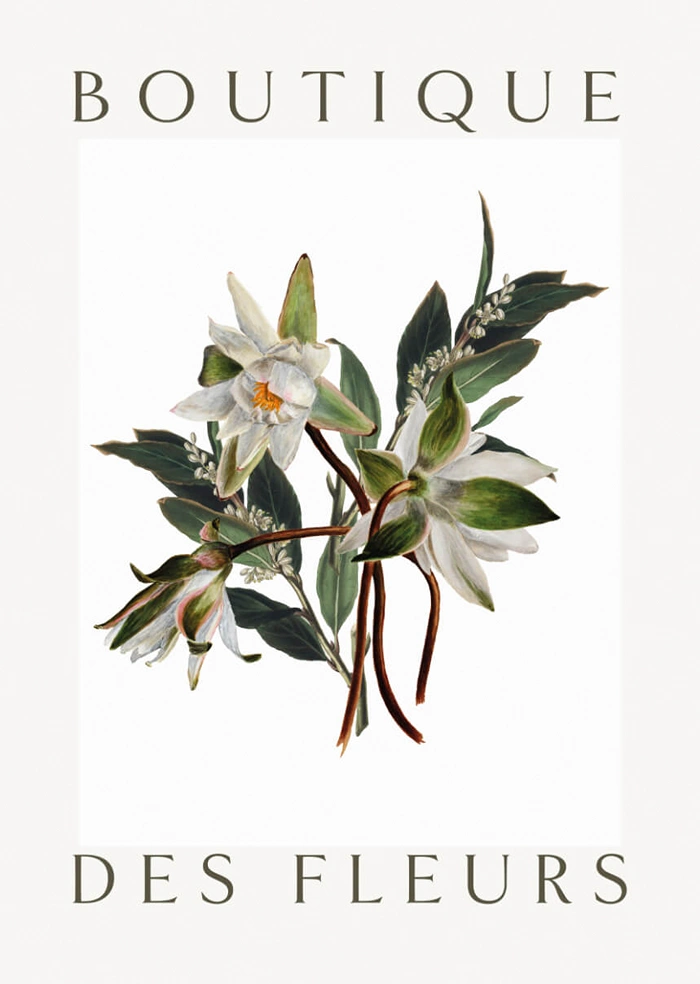 Botanical