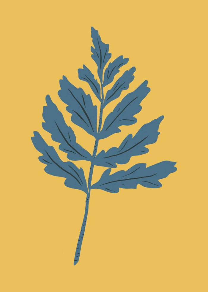 Leaf