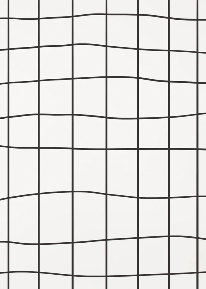 Mesh