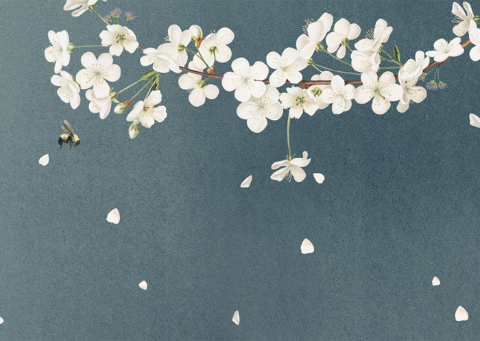 Frühling