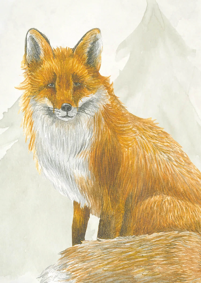 Fox