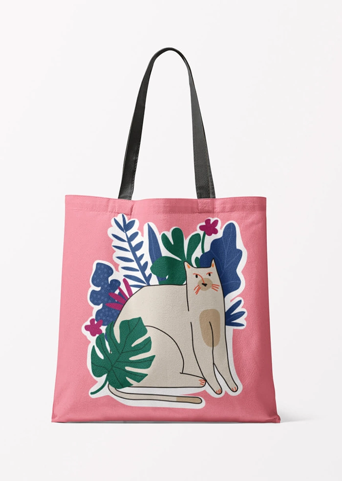 Kitek