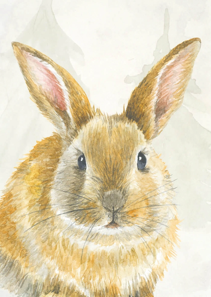 Rabbit