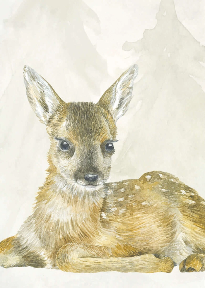 Deer