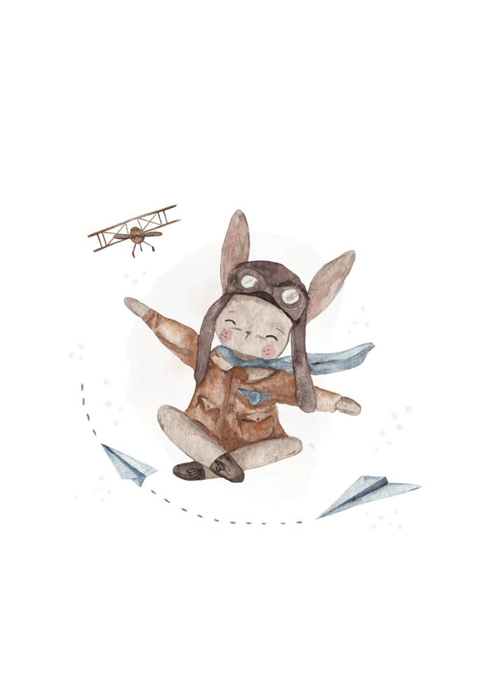 Pilot Rabbit